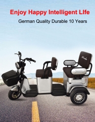 Electric Tricycle 3 Wheel Electric Leisure Scooter Battery Tricycle MODEL 5.0 25km/h ABS electronic brakes