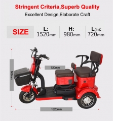 Electric Tricycle 3 Wheel Electric Leisure Scooter Battery Tricycle MODEL 6.0 25km/h ABS electronic brakes